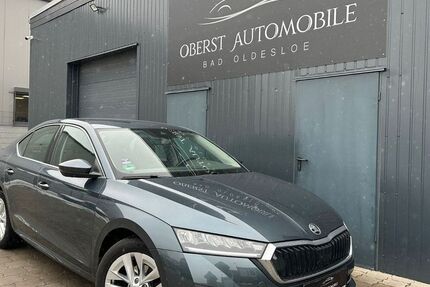 Skoda Octavia 165.174 km 13.500 &euro; Bad Oldesloe 23843