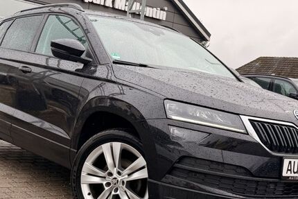 Skoda Karoq 149.800 km 13.798 &euro; Stepenitztal 23936
