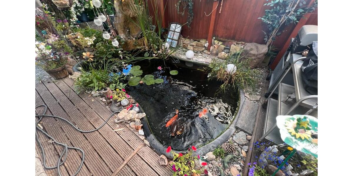 Mehrfamilienhaus, Wohnhaus Lübeck Sankt Jürgen - 6 Zimmer, 235 m&sup2;, 680.000&euro; | Angebot:24729760