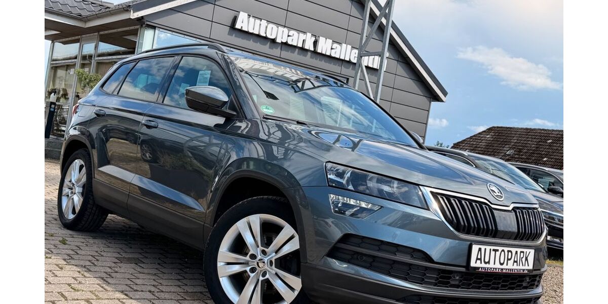 Skoda Karoq 139.000 km 18.885 &euro; Stepenitztal 23936