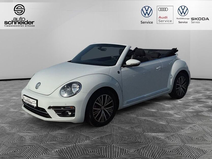 Beetle