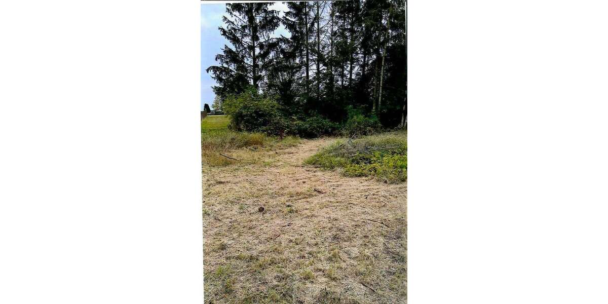 Grundstück Grevesmühlen/Mallentin Mallentin - 95.000&euro; | Angebot:17415623