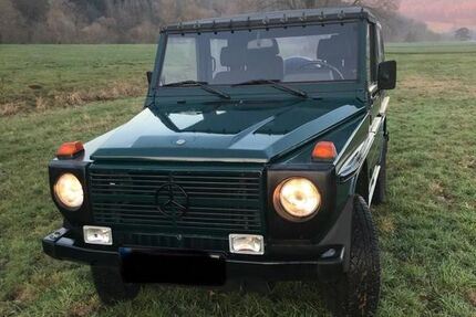 Mercedes-Benz G 250 110.000 km 25.599 € Lütjensee 22952