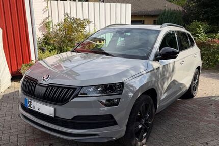 Skoda Karoq 111.164 km 22.000 &euro; Bebensee 23816