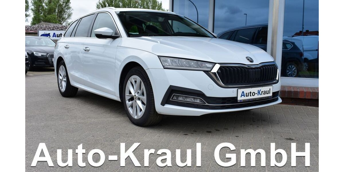 Skoda Octavia 94.863 km 19.749 &euro; Rehna 19217