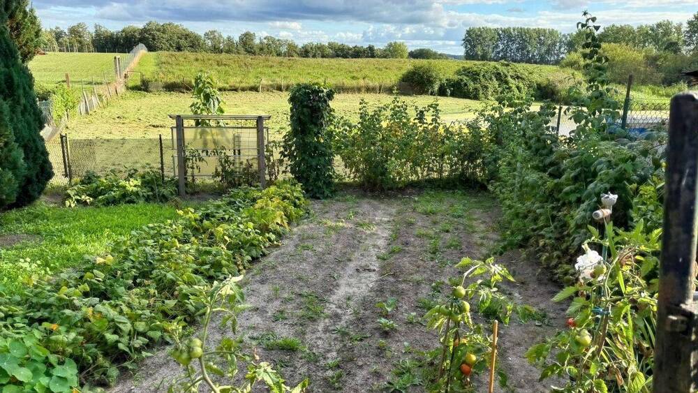 Doppelhaushälfte Dassow Prieschendorf - 4 Zimmer, 85 m&sup2;, 179.000&euro; | Angebot:26499734