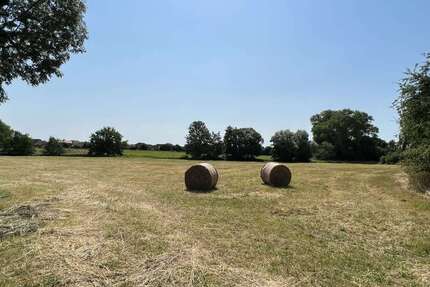Grundstück zu verkaufen in Bosau 250.000 € 12419 m²