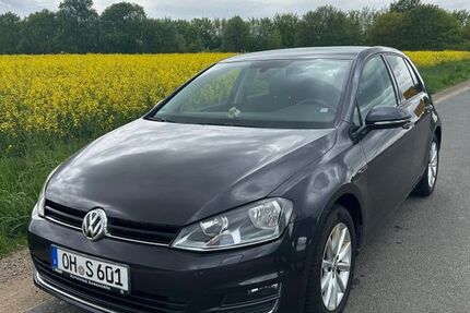 VW Golf 173.000 km 8.600 &euro; Hamberge 23619