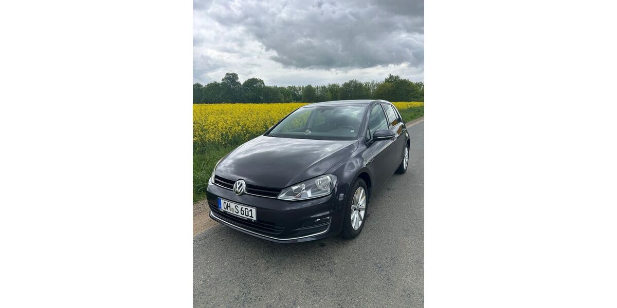 VW Golf 173.000 km 8.600 &euro; Hamberge 23619