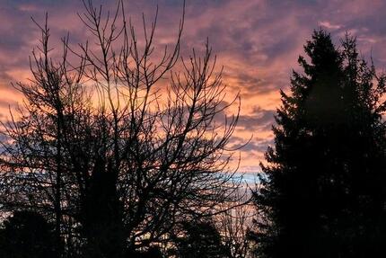 Wohnung Neustadt in Holstein - 1.5 Zimmer, 25 m&sup2;, 575&euro; | Angebot:25943279