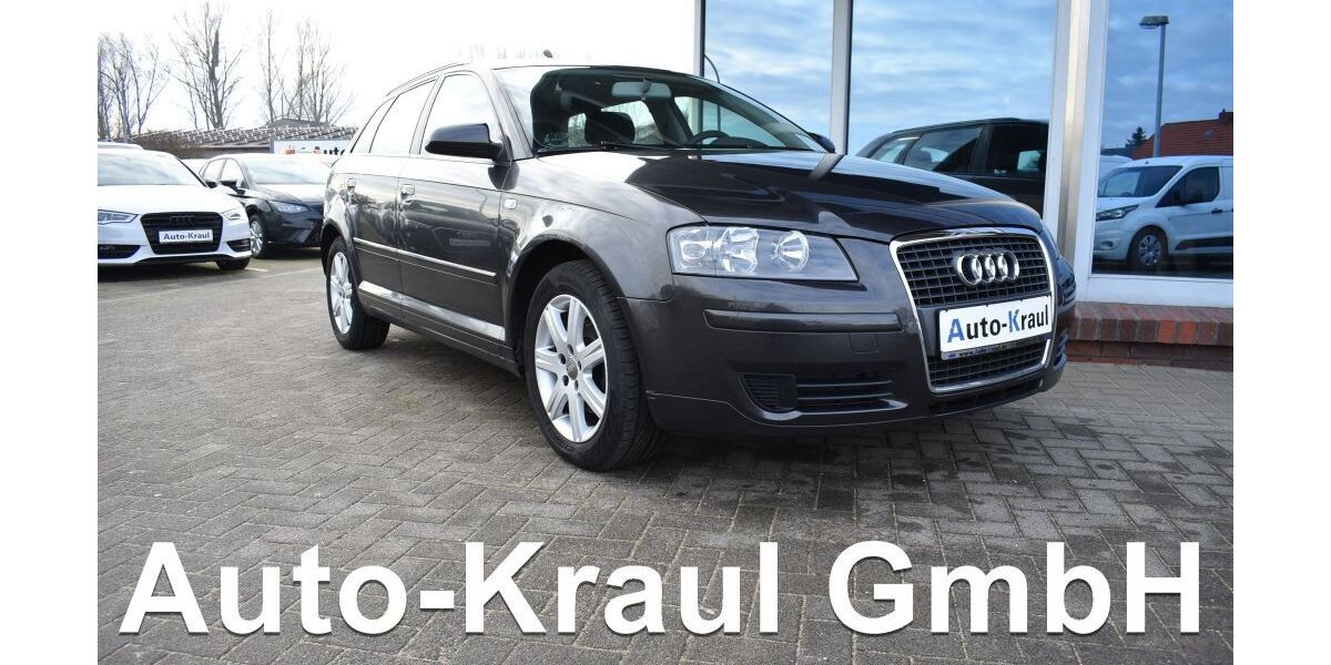 Audi A3 187.164 km 4.899 &euro; Rehna 19217