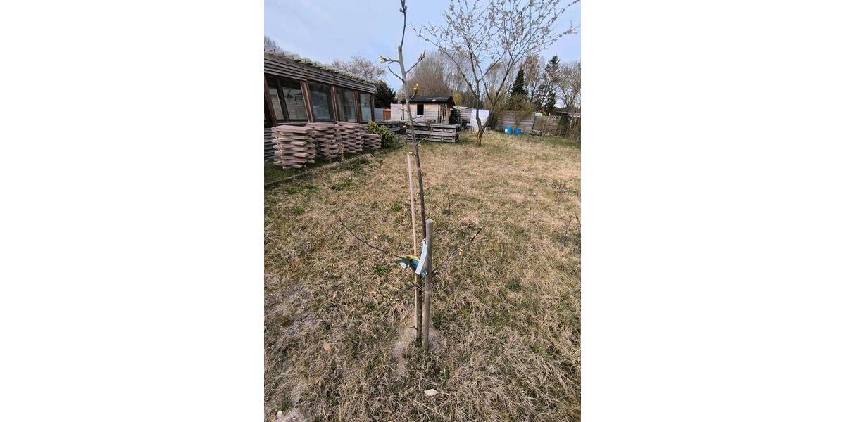 Grundstück Lübeck Sankt Lorenz Nord - 3.300&euro; | Angebot:26337747
