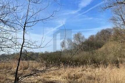 MIT WASSERZUGANG & ENTWICKLUNGSPOTENZIAL - Grundstück Krummesse | Angebot:26160355