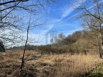 MIT WASSERZUGANG & ENTWICKLUNGSPOTENZIAL - Grundstück Krummesse | Angebot:26160355