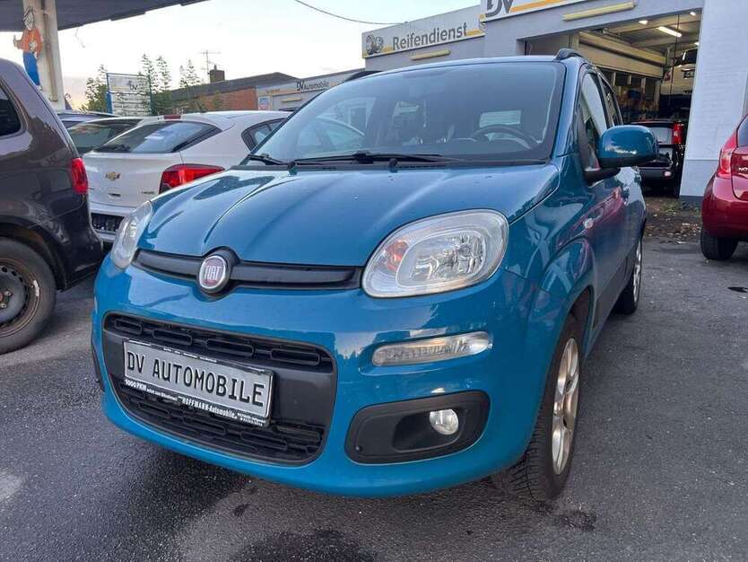 Panda
