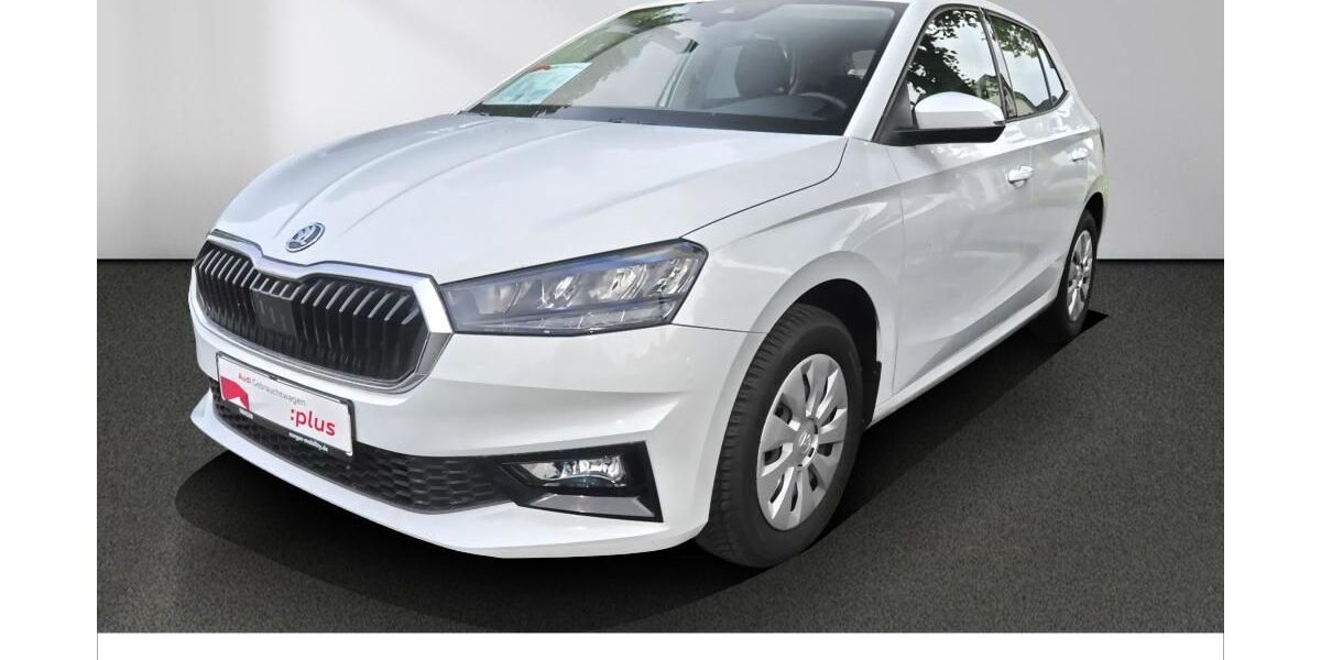 Skoda Fabia 30.300 km 16.480 &euro; Bad Oldesloe 23843