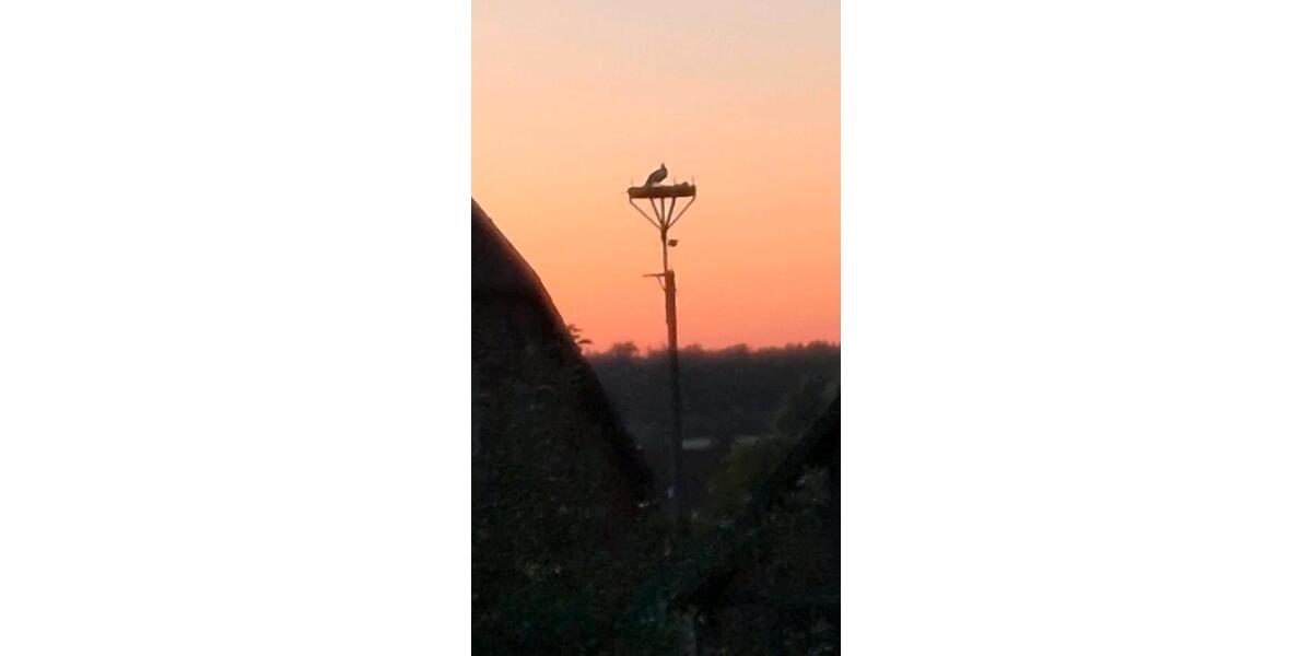 Dachgeschoßwohnung Sandesneben - 2 Zimmer, 85 m&sup2;, 790&euro; | Angebot:24712069