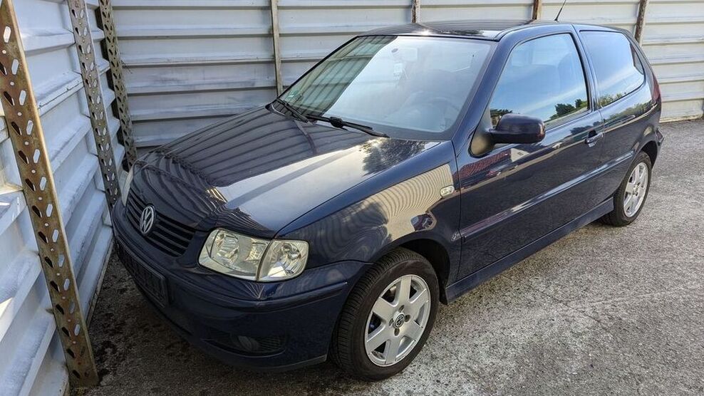 Polo