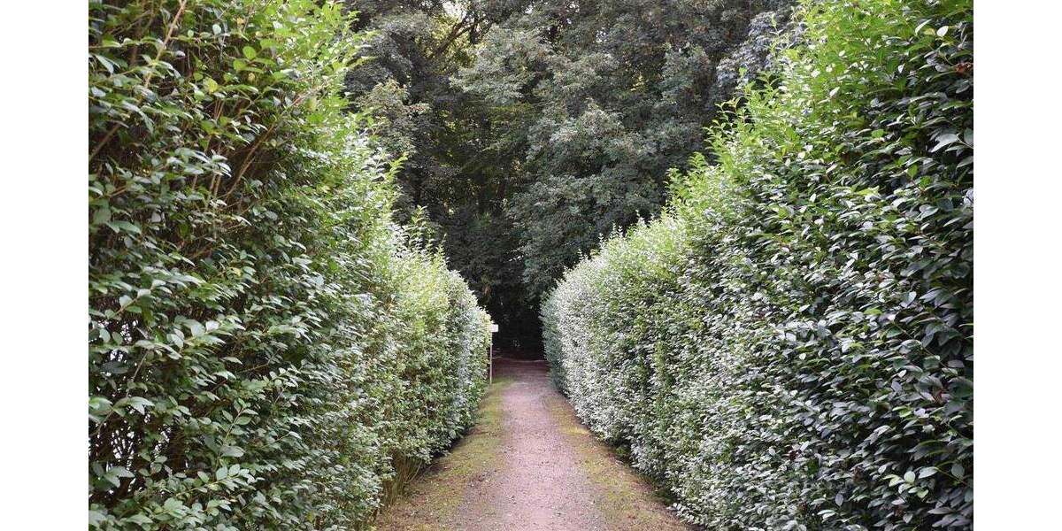 Etagenwohnung Bad Oldesloe - 2 Zimmer, 63 m&sup2;, 155.000&euro; | Angebot:25926967