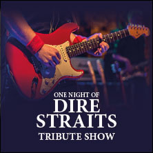 One Night of Dire Straits - Tribute Show 13.02.2026 Musik- und Kongresshalle Lübeck