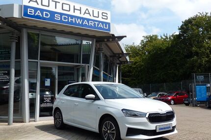 Skoda Fabia 36.600 km 15.950 &euro; Bad Schwartau 23611