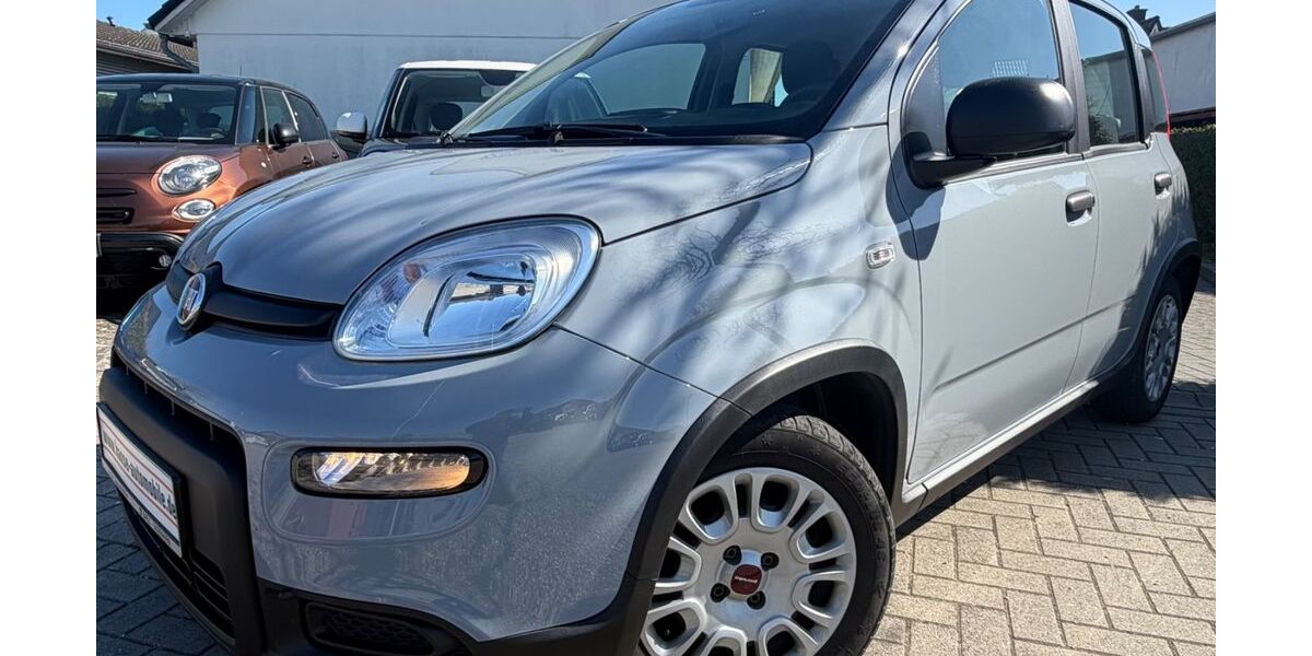 Fiat Panda 58.660 km 9.999 &euro; Stockelsdorf bei Lübeck 23617