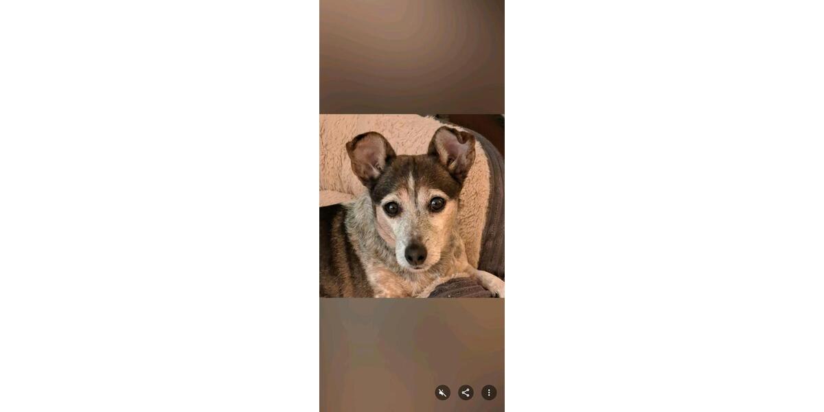 Etagenwohnung Neustadt in Holstein - 3 Zimmer, 60 m&sup2;, 850&euro; | Angebot:24951603