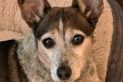 Wohnung Neustadt in Holstein - 3 Zimmer, 60 m&sup2;, 850&euro; | Angebot:24951603