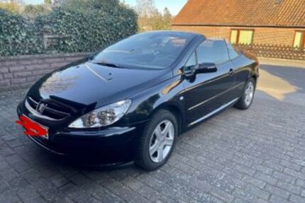 Peugeot 307 117.000 km 3.200 &euro; Mustin 23911