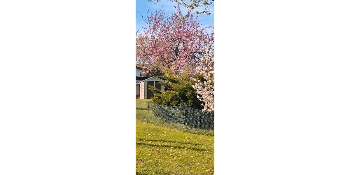 Erdgeschoßwohnung Scharbeutz Wulfsdorf - 3 Zimmer, 87 m&sup2;, 329.000&euro; | Angebot:27009478