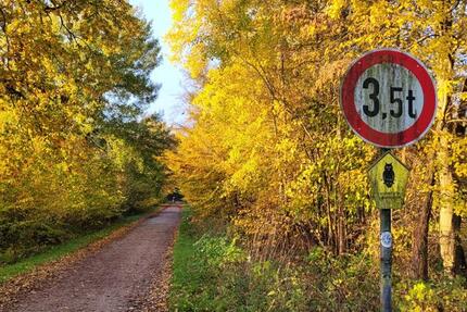 Schönes EFH St. Jürgen 206qm nahe LSG 7 zimmer