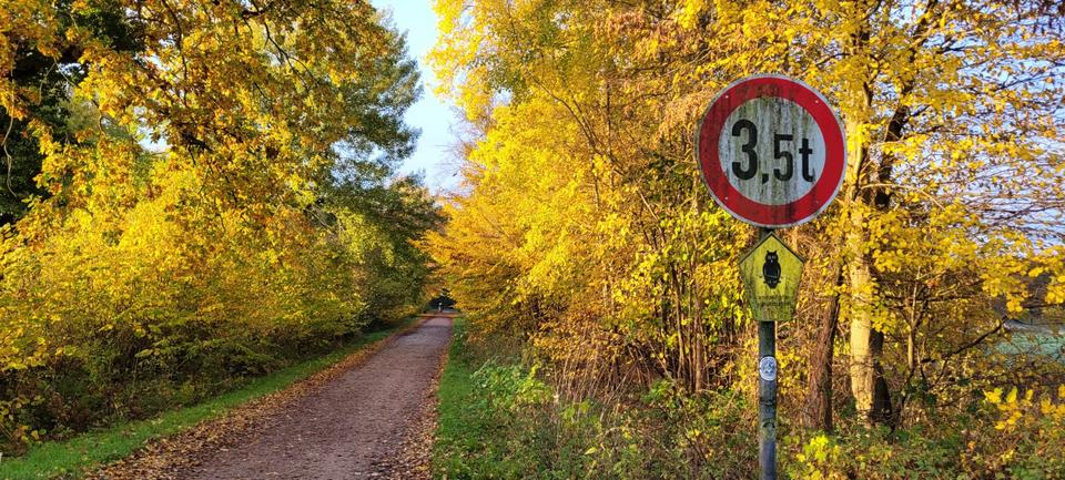 Schönes EFH St. Jürgen 206qm nahe LSG 7 zimmer