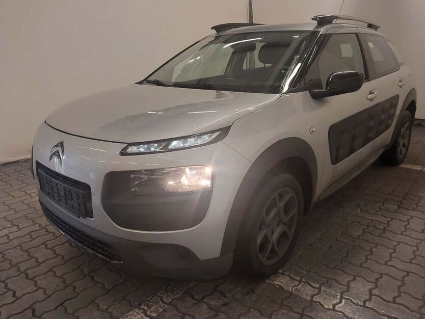 C4 Cactus