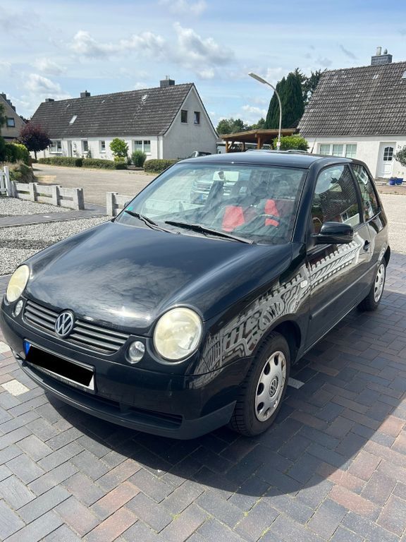 Lupo