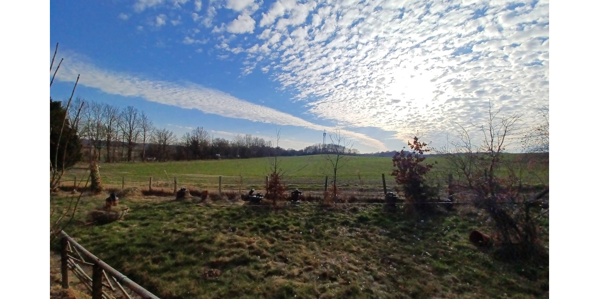 2 Blockbohlenhäuser mit ca. 1.000 m² Eigenland und traumhaftem Ausblick zum günstigen Preis! - Zweifamilienhaus Zarpen | Angebot:26006779