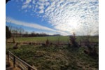2 Blockbohlenhäuser mit ca. 1.000 m² Eigenland und traumhaftem Ausblick zum günstigen Preis! - Zweifamilienhaus Zarpen | Angebot:26006779