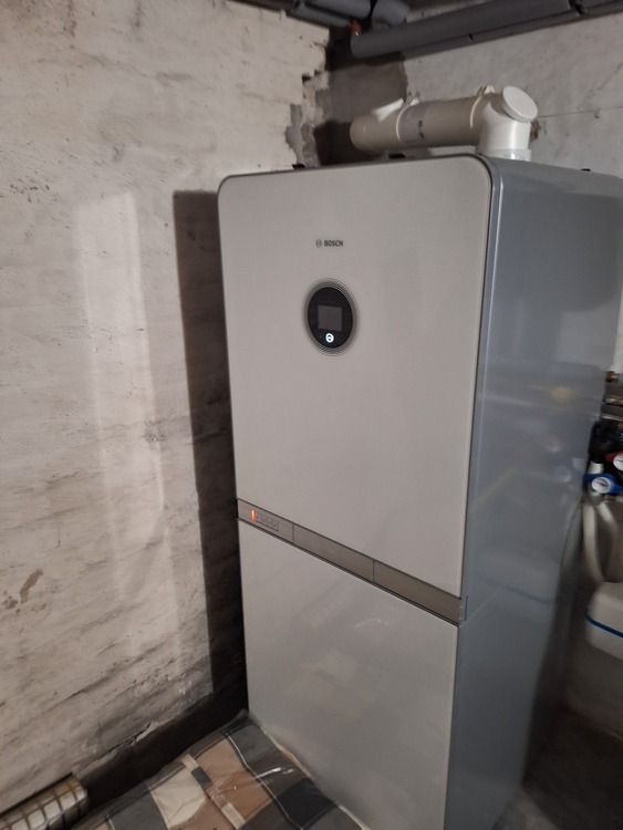 Ein Traum für Handwerker ; DHH in 23568 Lübeck - Schlutup