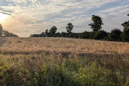 Grundstück Lübeck Sankt Lorenz Nord - 230&euro; | Angebot:24816287