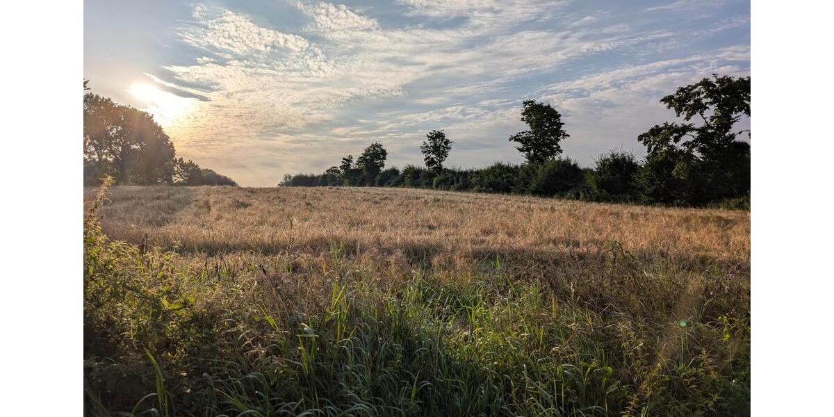 Grundstück Lübeck Sankt Lorenz Nord - 230&euro; | Angebot:24816287