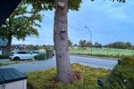 Doppelhaushälfte Ahrensbök - 4 Zimmer, 120 m&sup2;, 1.500&euro; | Angebot:27671734